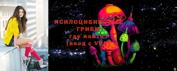крисы Алексеевка