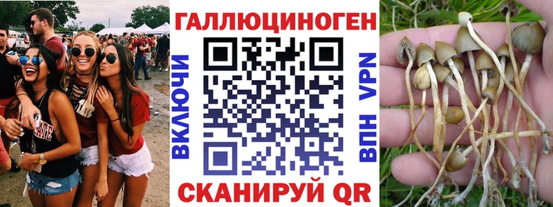 продажа наркотиков  Ряжск  Псилоцибиновые грибы GOLDEN TEACHER 